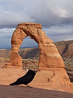 Arches Delicate Arch (35).JPG